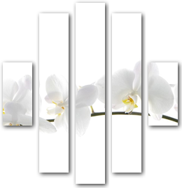 0004071