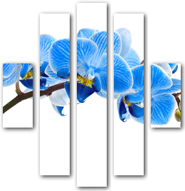 0004076