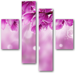0004079