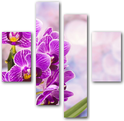 0004089