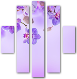 0004116