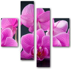 0004129