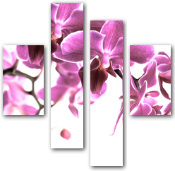 0004139