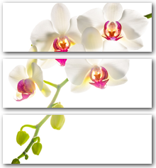 0004140