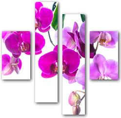 0004144