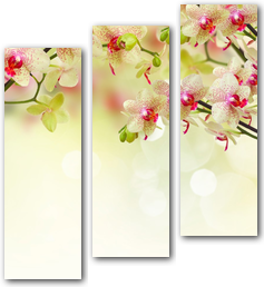 0004147