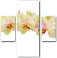 0004148