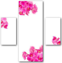 0004153