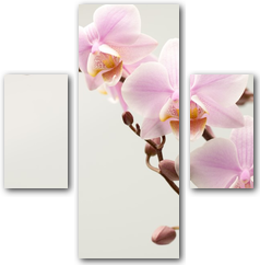 0004158
