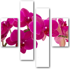 0004169