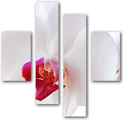 0004189
