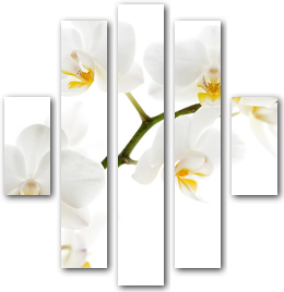0004191