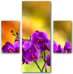 0004193