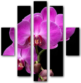 0004196