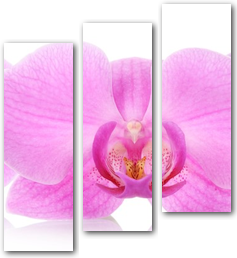 0004197