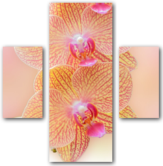 0004198