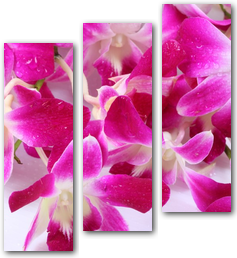0004207
