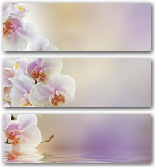 0004210