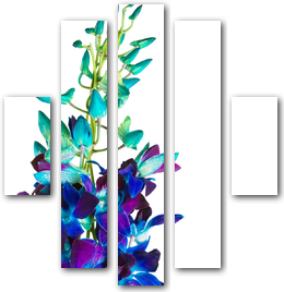 0004236