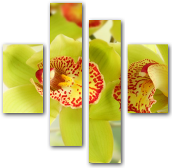 0004239