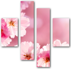 0006149