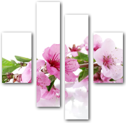 0006154