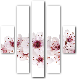0006156