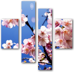 0006169