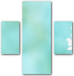 0006253