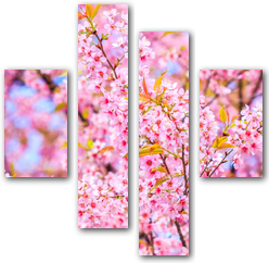 0006254