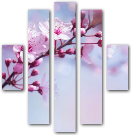 0006256