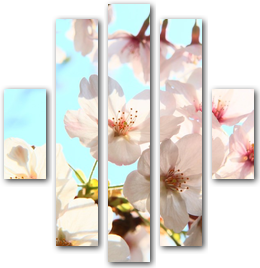 0006261