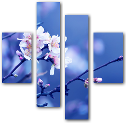 0006264
