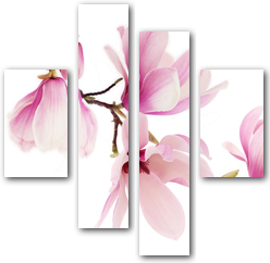 0003184