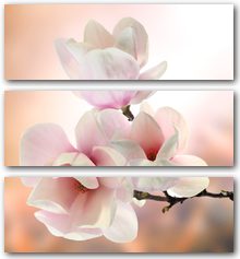 0003185