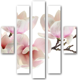 0003186
