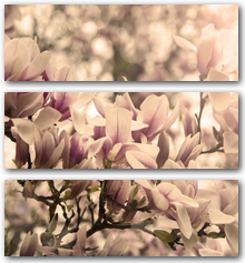 0003190