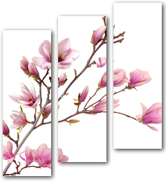 0003197