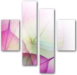 0002931
