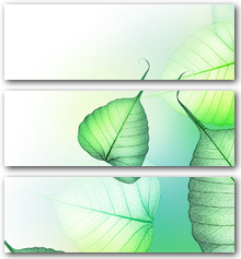 0002932