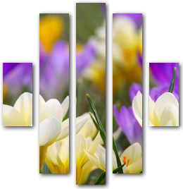 0002638