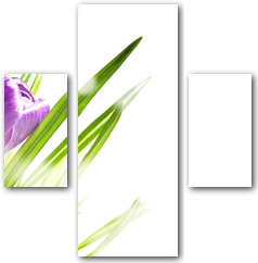 0002640