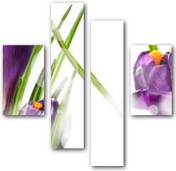 0002641