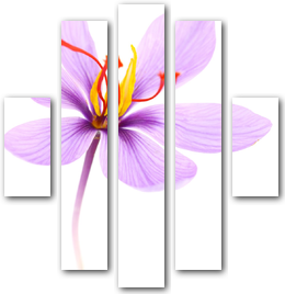 0002648
