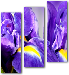 0002649