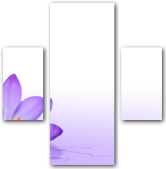 0002650