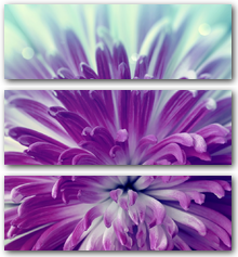 0006126