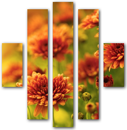 0006127