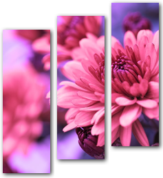 0006128