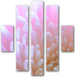 0006137